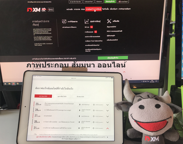 สัมมนาออนไลน์