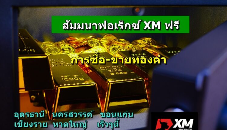 สัมมนาฟอเร็กซ์ XM ฟรี
