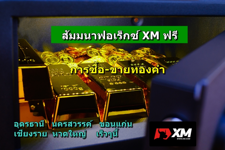 สัมมนาฟอเร็กซ์ XM ฟรี