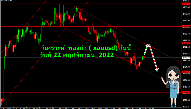 วิเคราะห์ ทองคำ ( xauusd ) ประจำวัน 22 พฤศจิกายน 2656