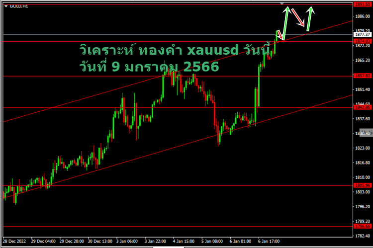 วิเคราะห์ ทองคำ xauusd วันนี้ วันที่ 9 มกราคม 2023