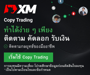 copy trading 300×250
