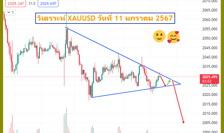 xauusd-11-1-2024