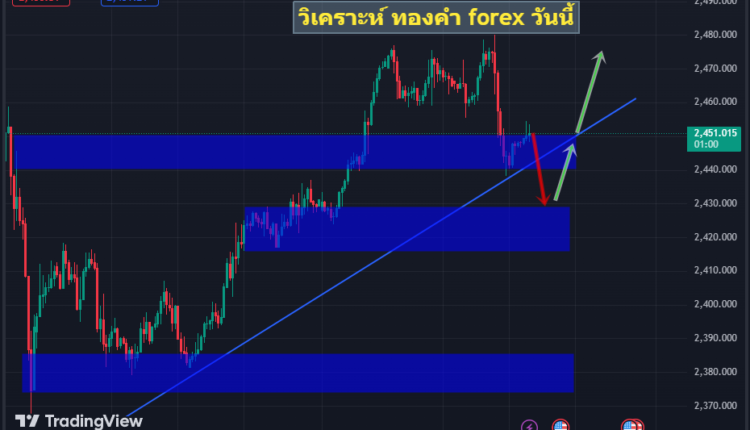 forex-gold-15-8-2024