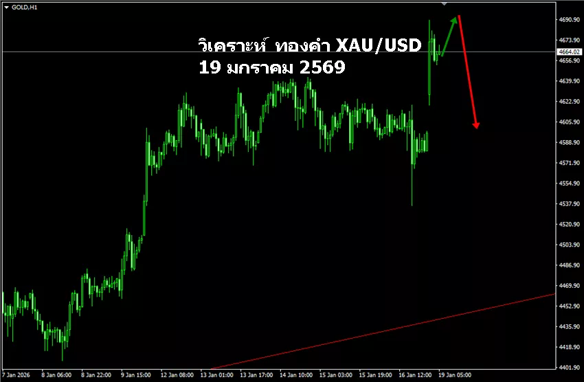 วิเคราะห์ ทองคำ วันนี้ 19 มกราคม 2569